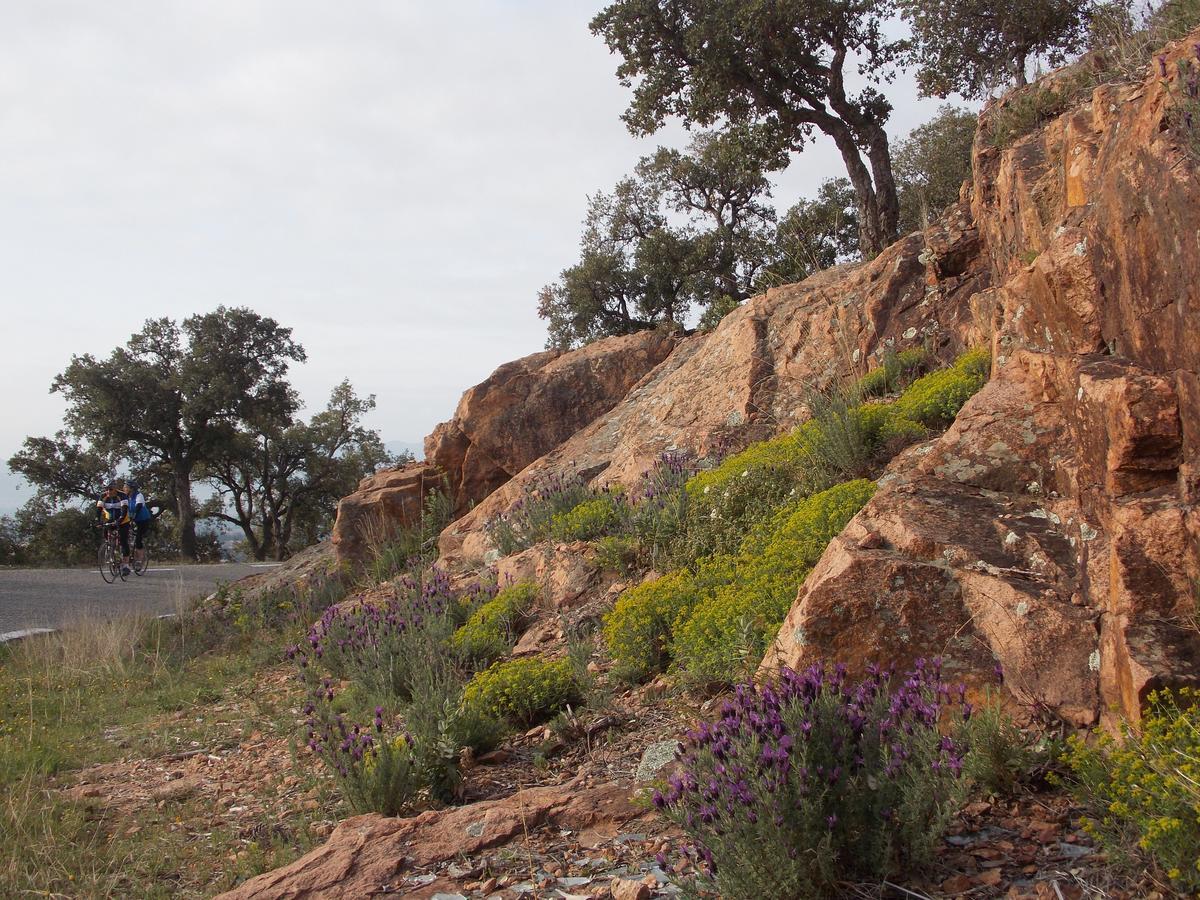 Au Relais Provencal Ξενοδοχείο Bagnols-en-Forêt Εξωτερικό φωτογραφία