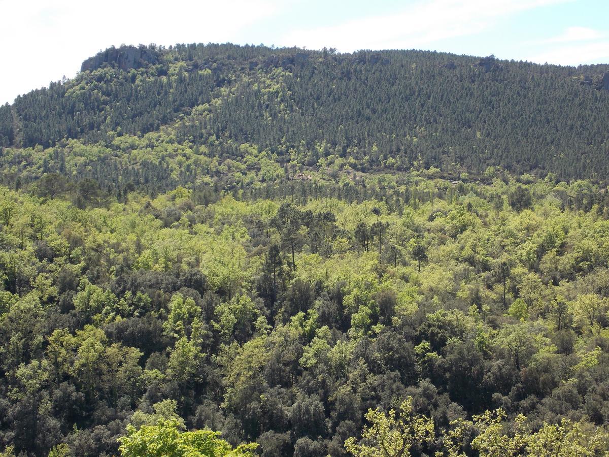 Au Relais Provencal Ξενοδοχείο Bagnols-en-Forêt Εξωτερικό φωτογραφία